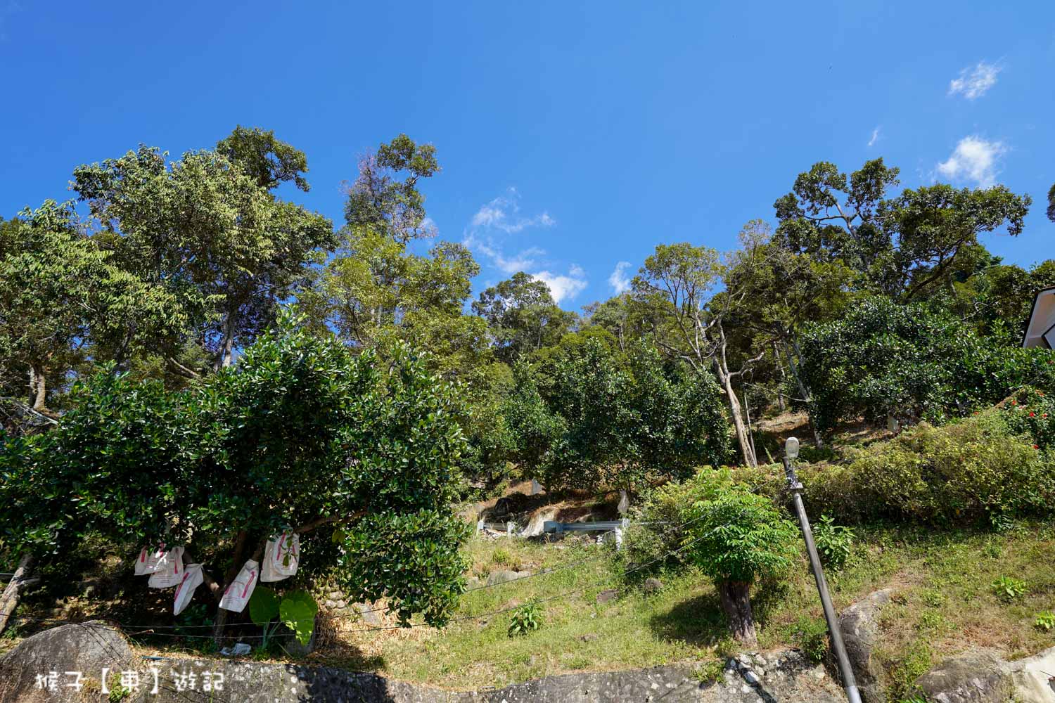  @猴子【東】遊記