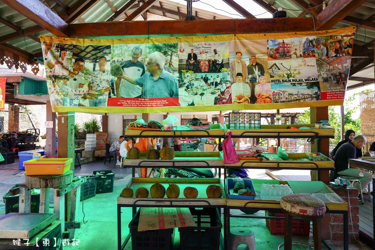  @猴子【東】遊記