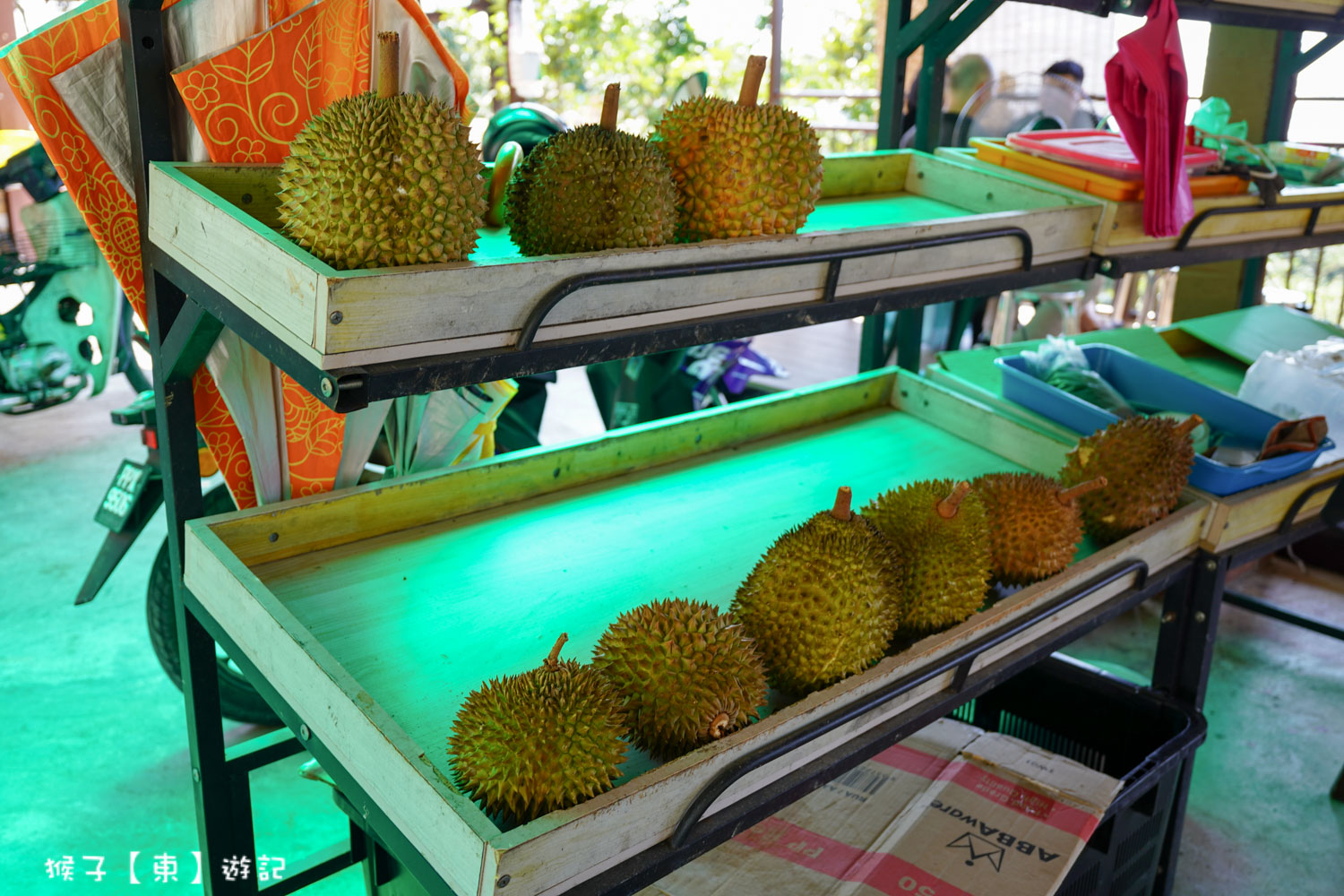  @猴子【東】遊記