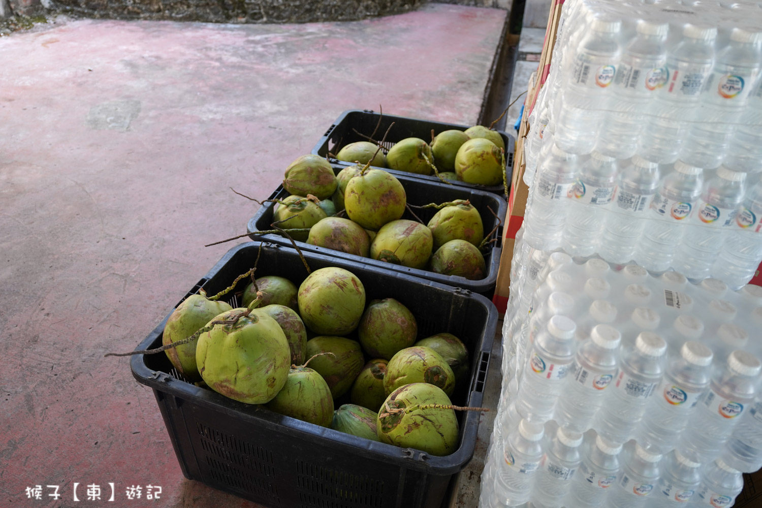  @猴子【東】遊記