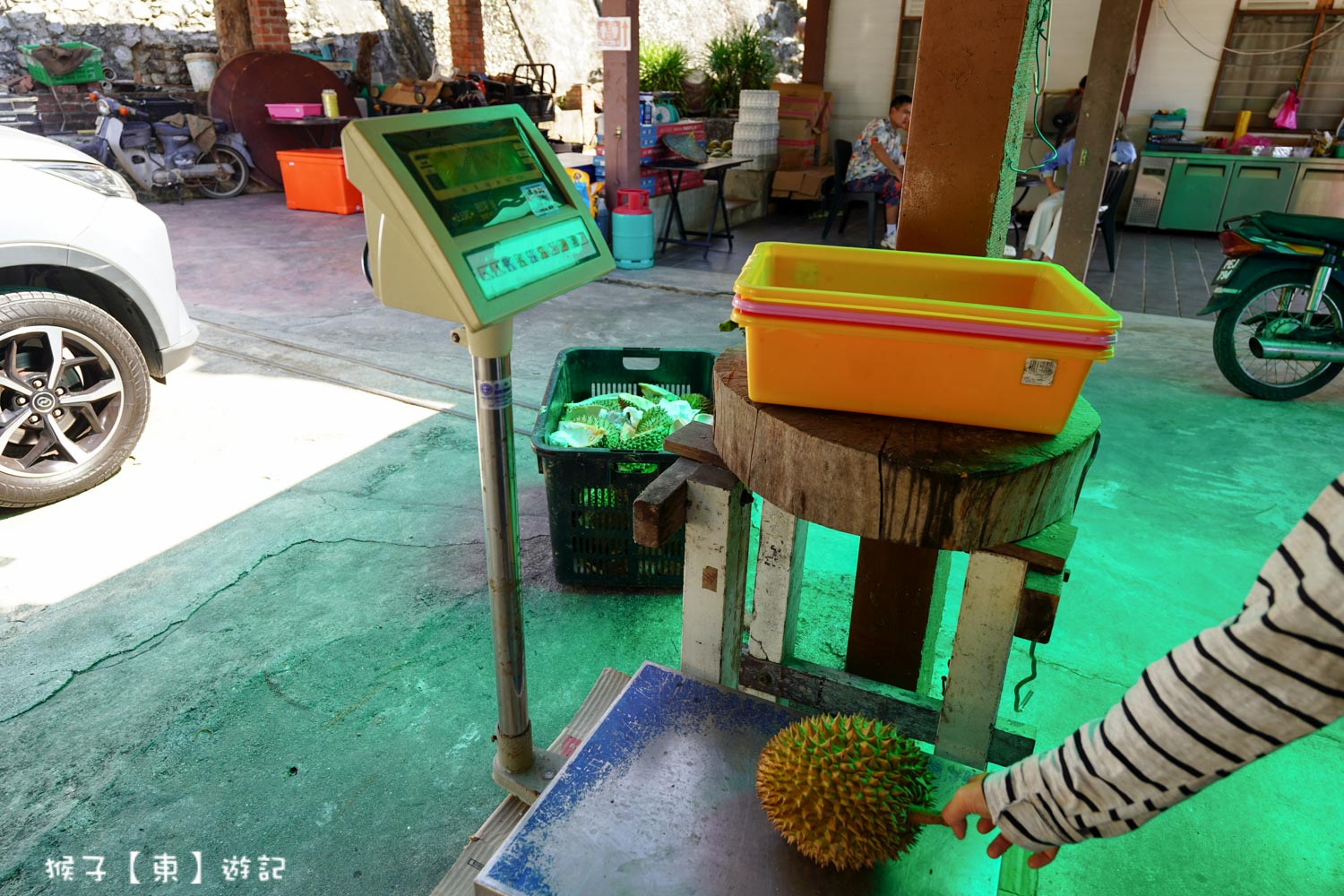  @猴子【東】遊記