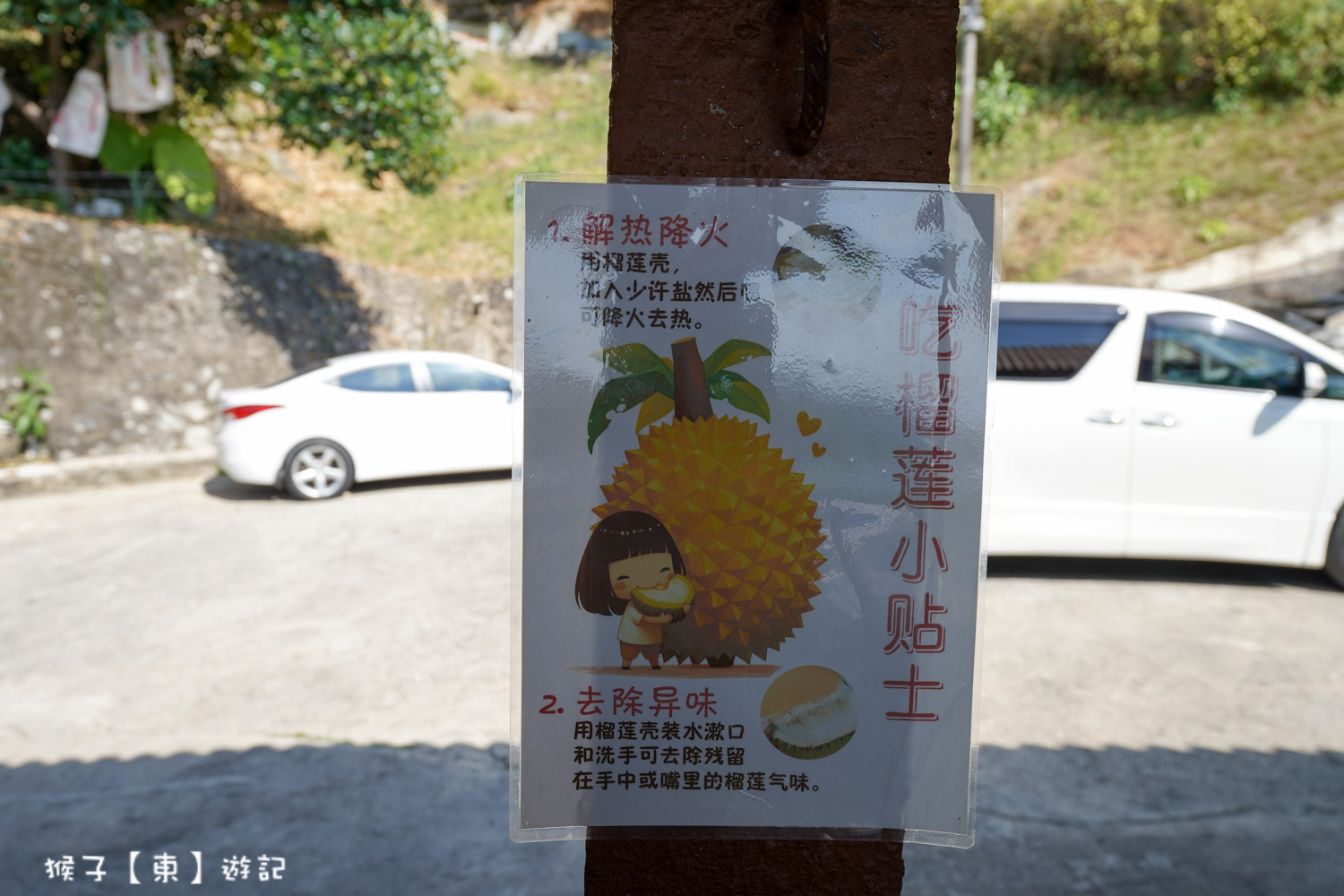  @猴子【東】遊記