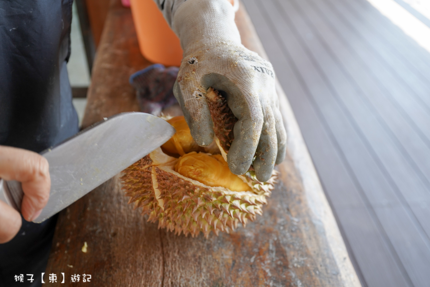  @猴子【東】遊記