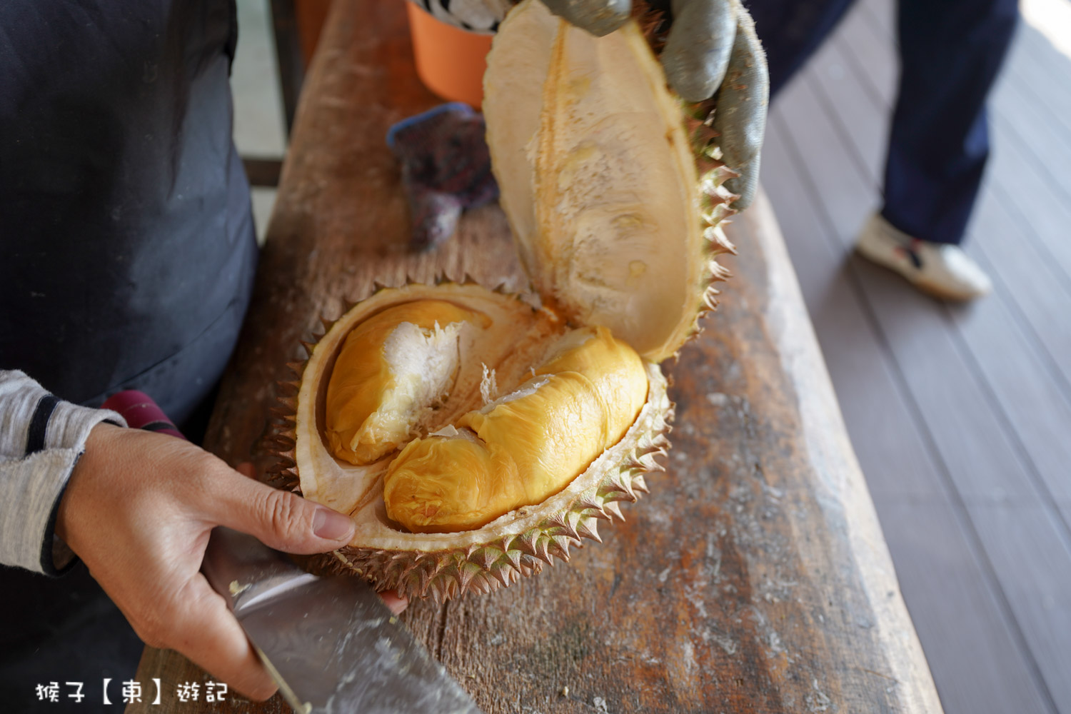  @猴子【東】遊記