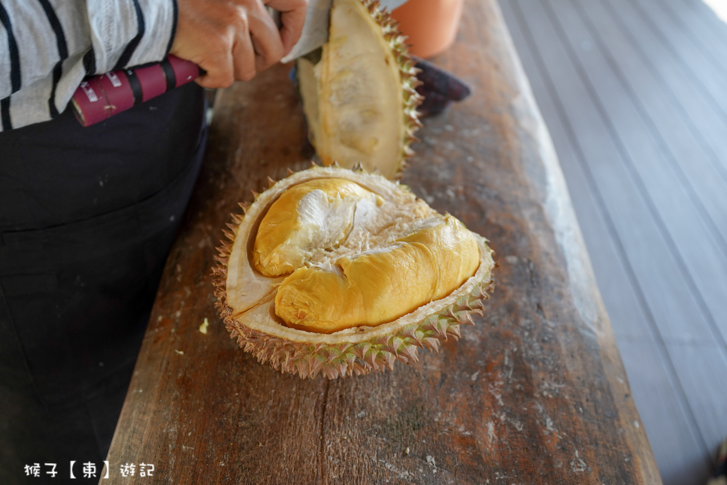  @猴子【東】遊記