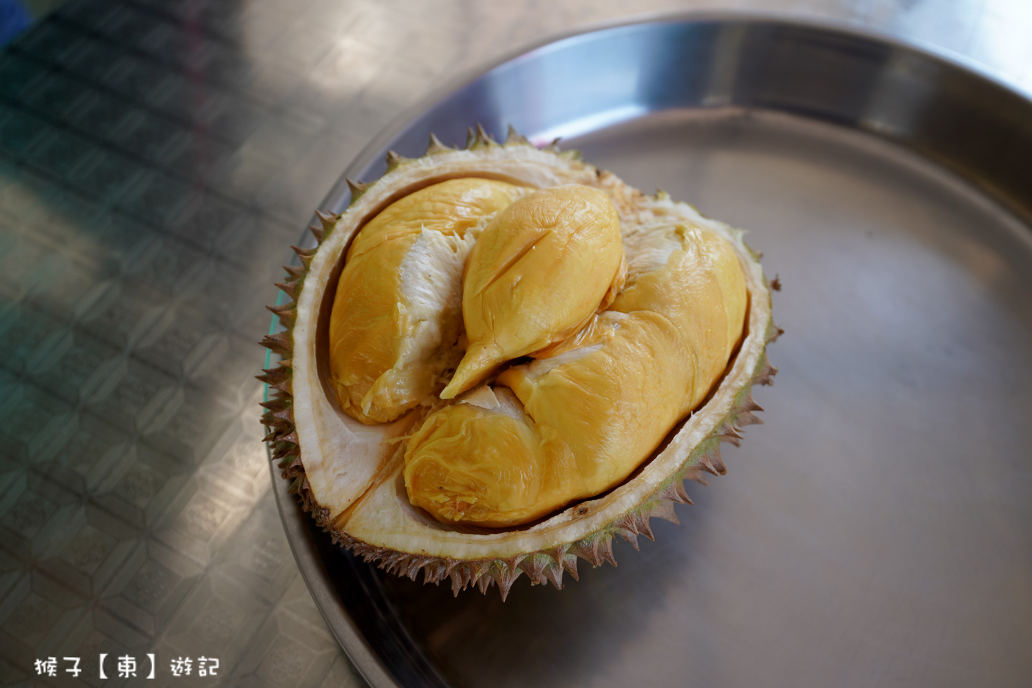  @猴子【東】遊記