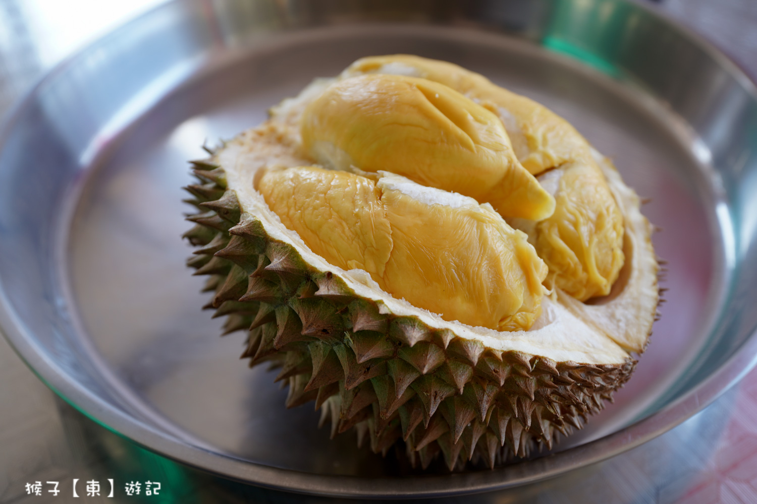  @猴子【東】遊記