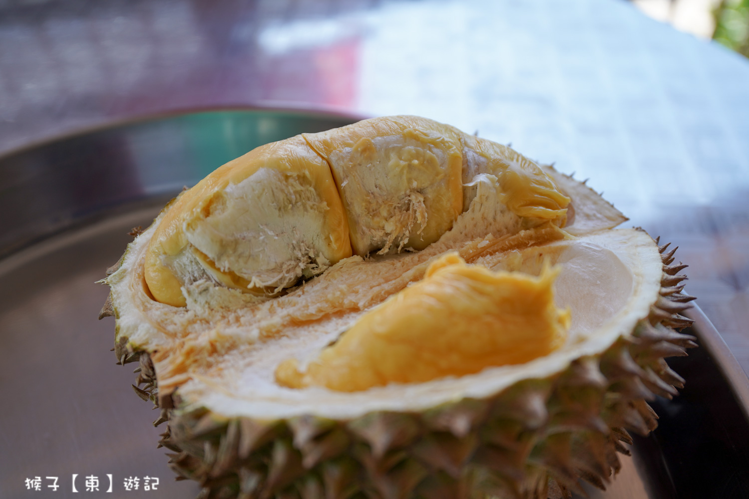  @猴子【東】遊記