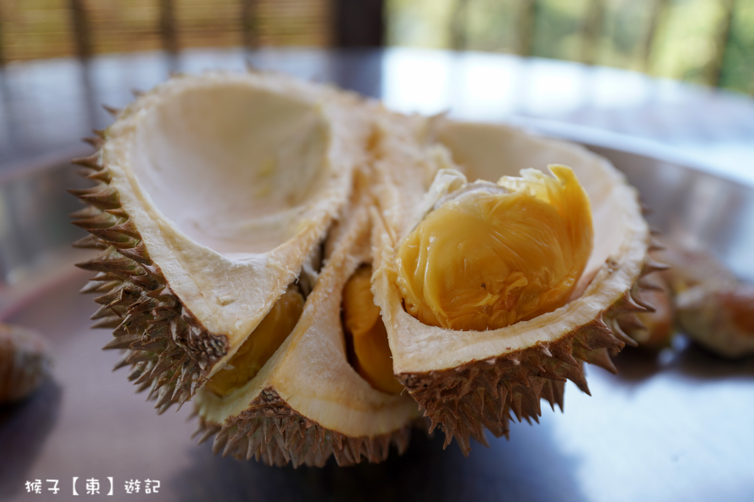  @猴子【東】遊記