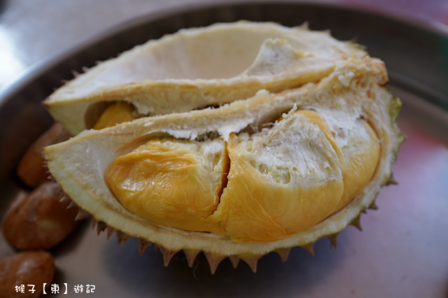  @猴子【東】遊記