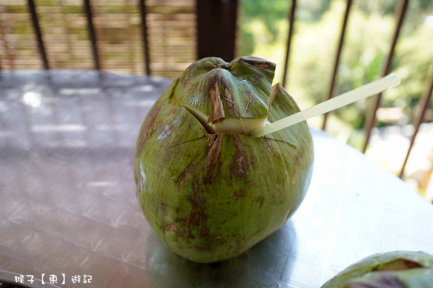  @猴子【東】遊記