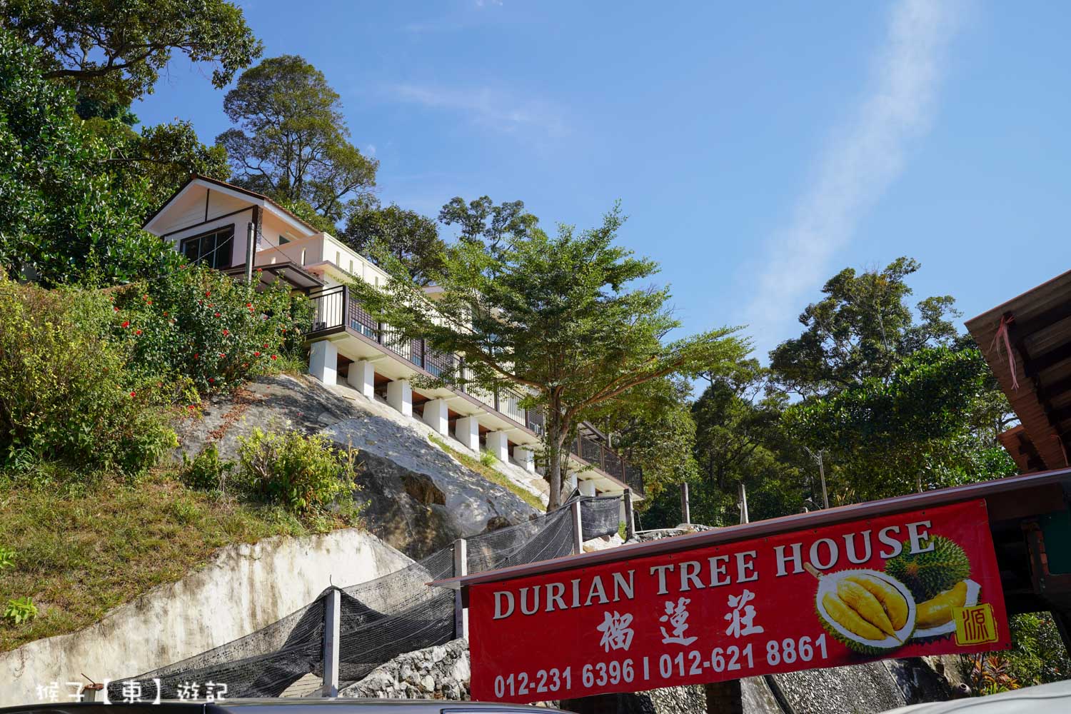  @猴子【東】遊記