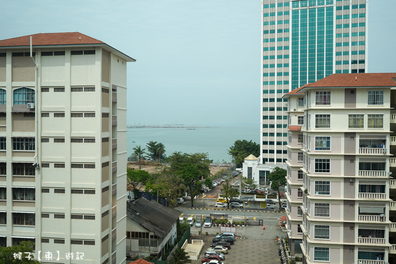  @猴子【東】遊記