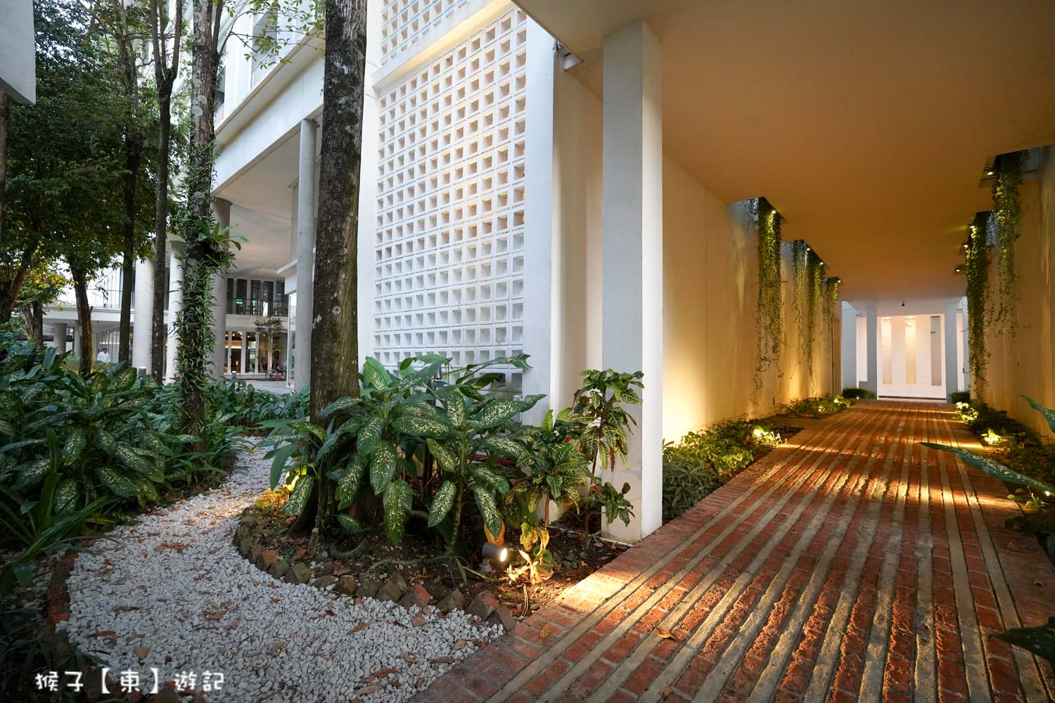  @猴子【東】遊記