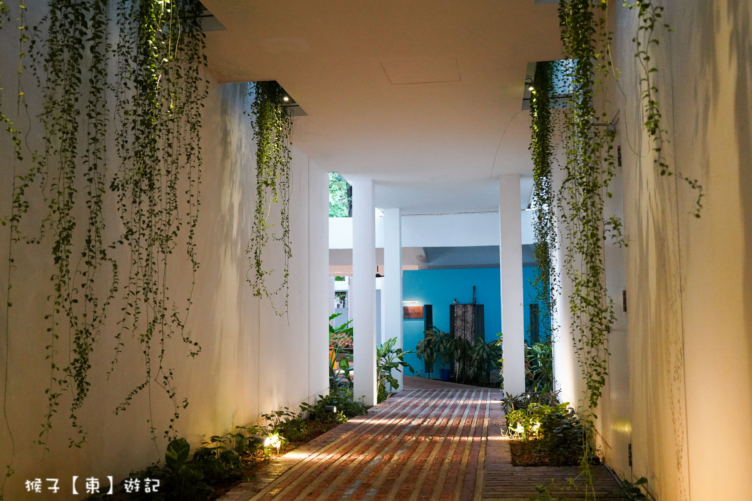  @猴子【東】遊記