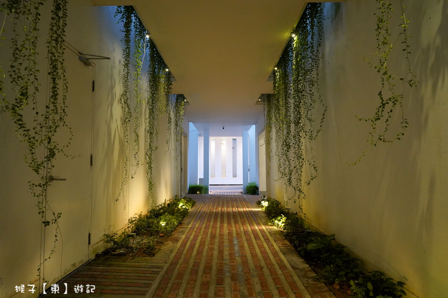  @猴子【東】遊記