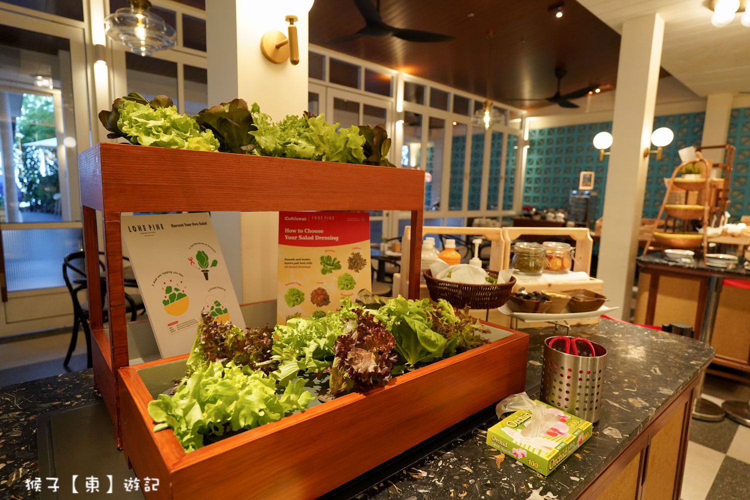  @猴子【東】遊記