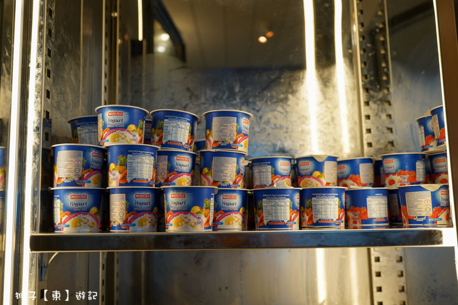  @猴子【東】遊記