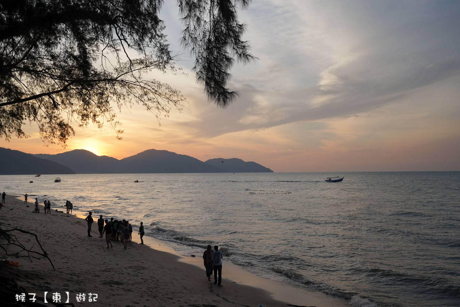  @猴子【東】遊記