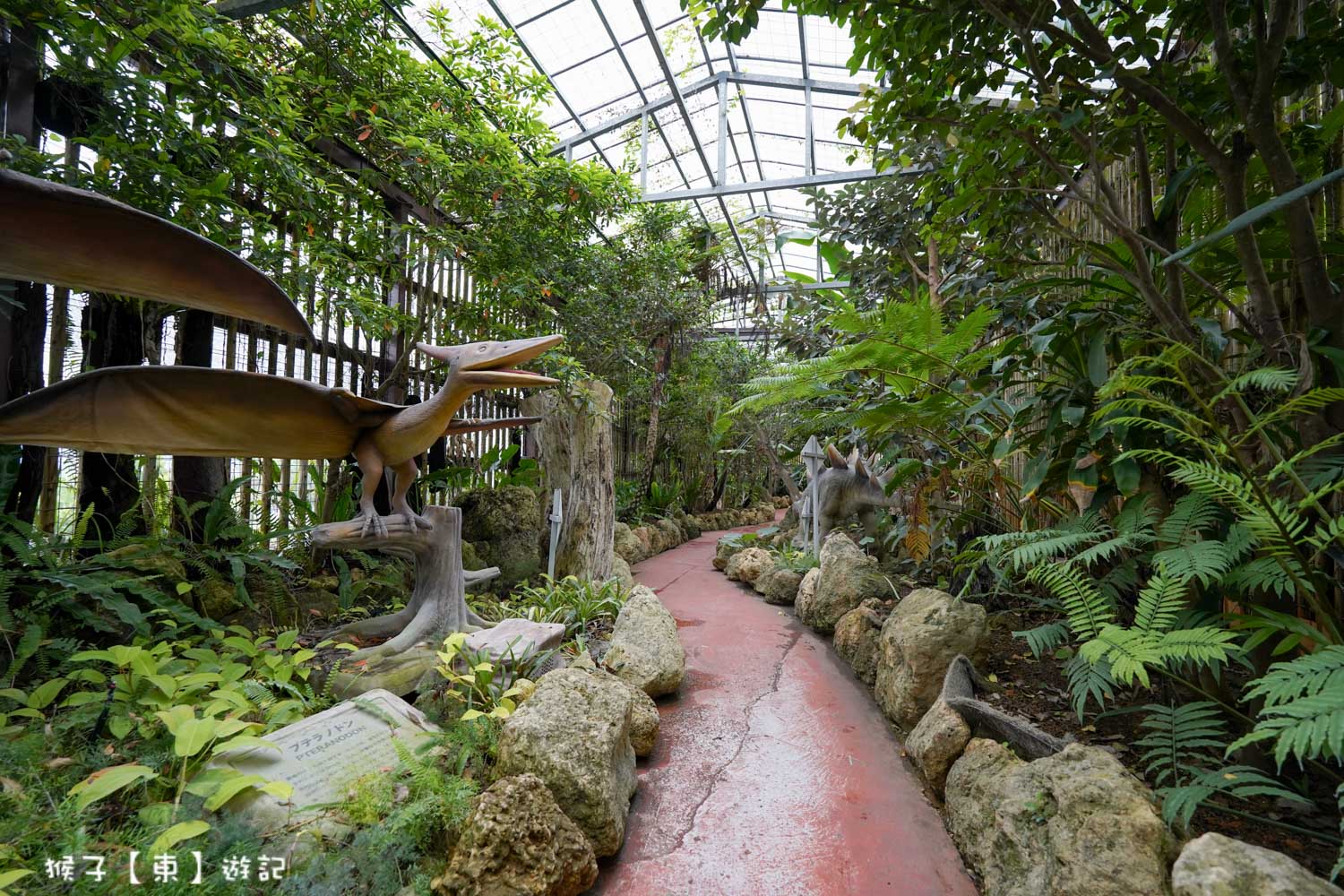  @猴子【東】遊記