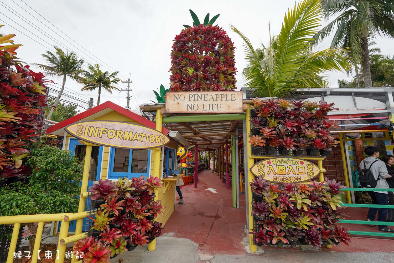  @猴子【東】遊記