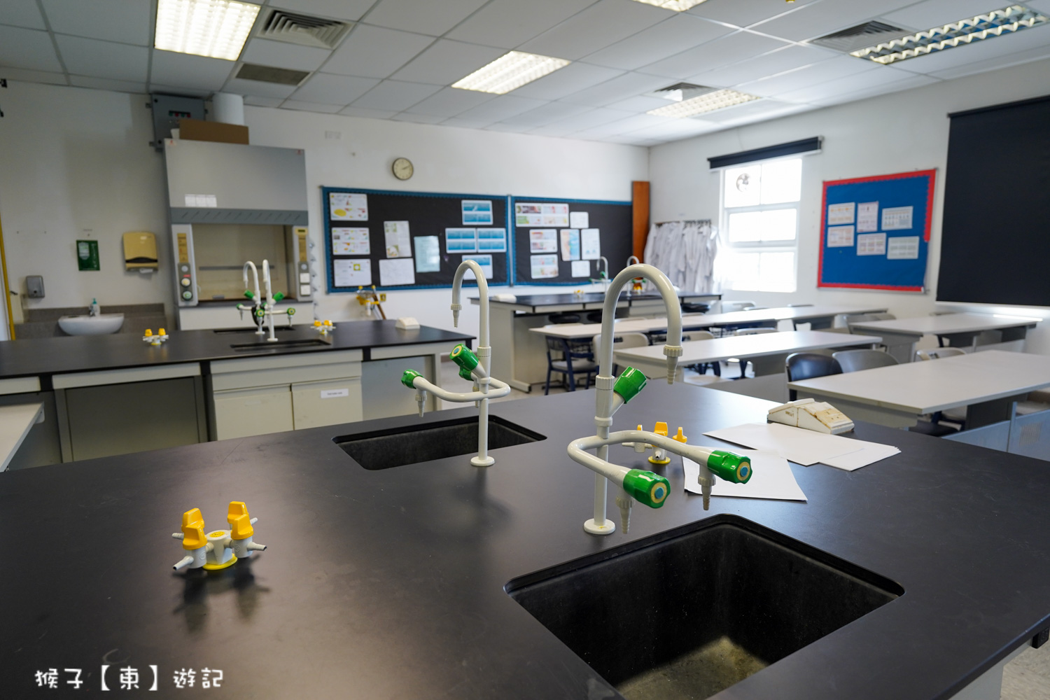  @猴子【東】遊記