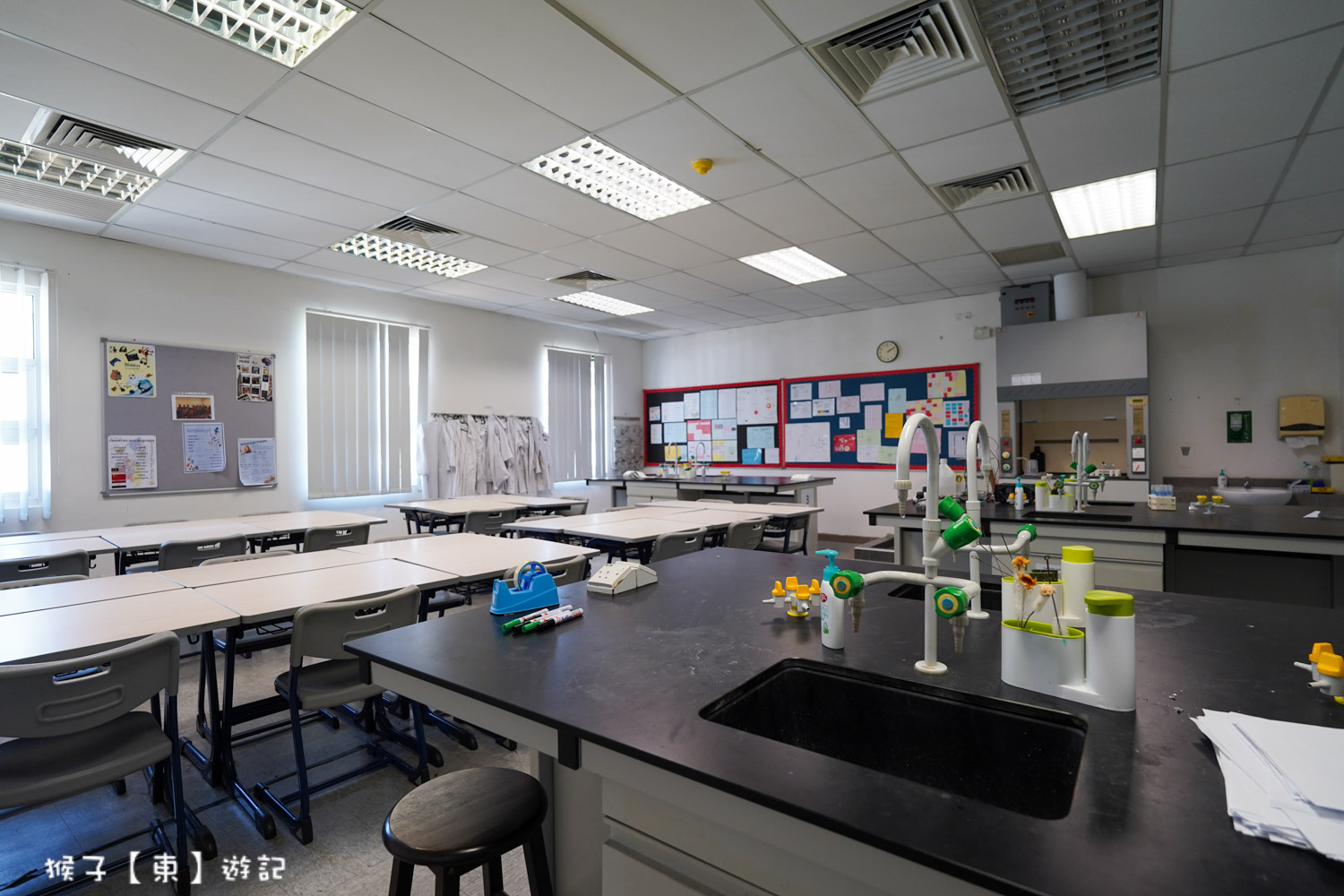  @猴子【東】遊記