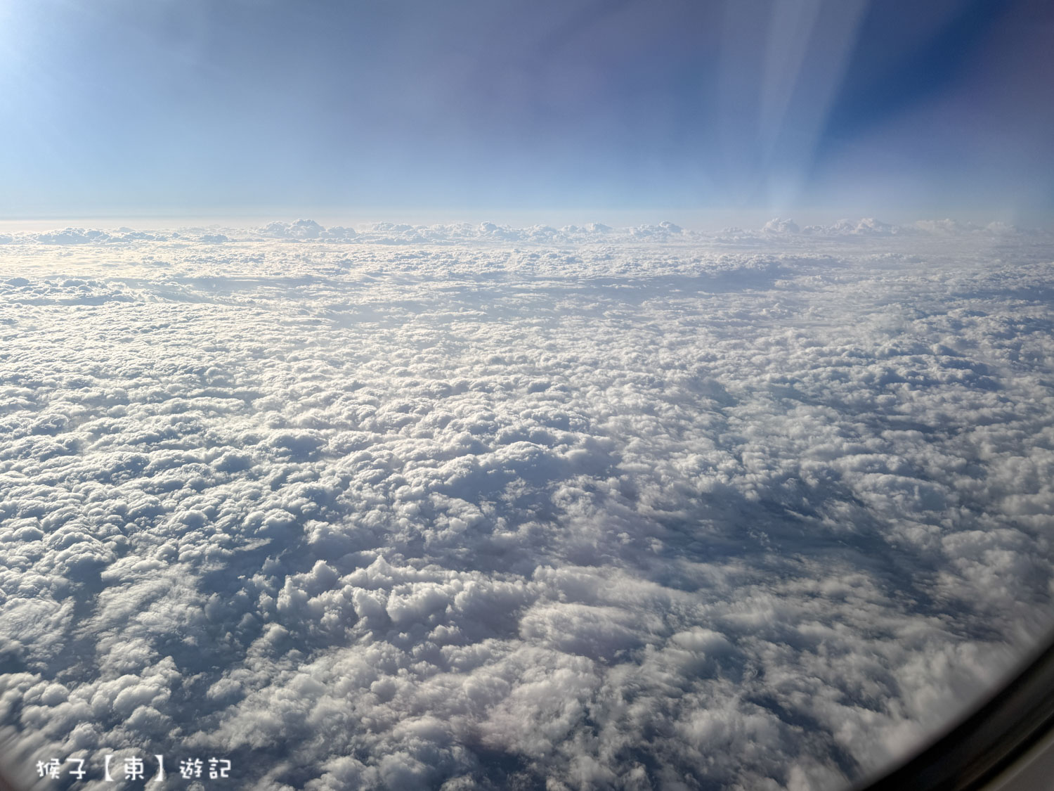  @猴子【東】遊記