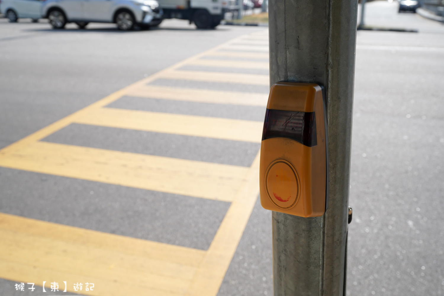  @猴子【東】遊記