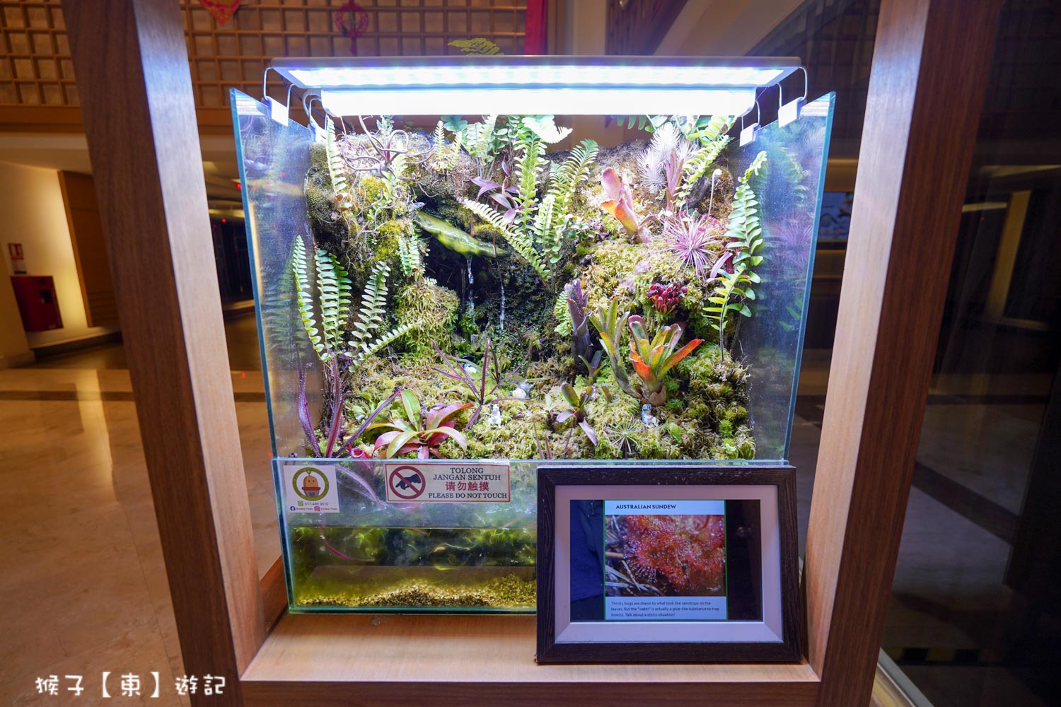  @猴子【東】遊記