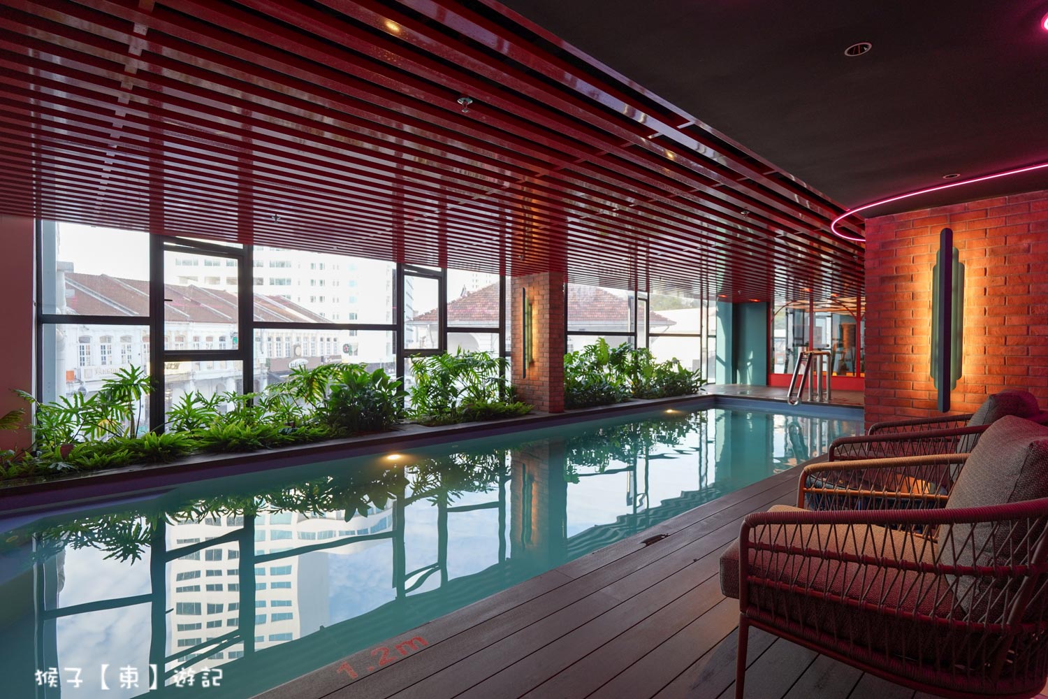  @猴子【東】遊記