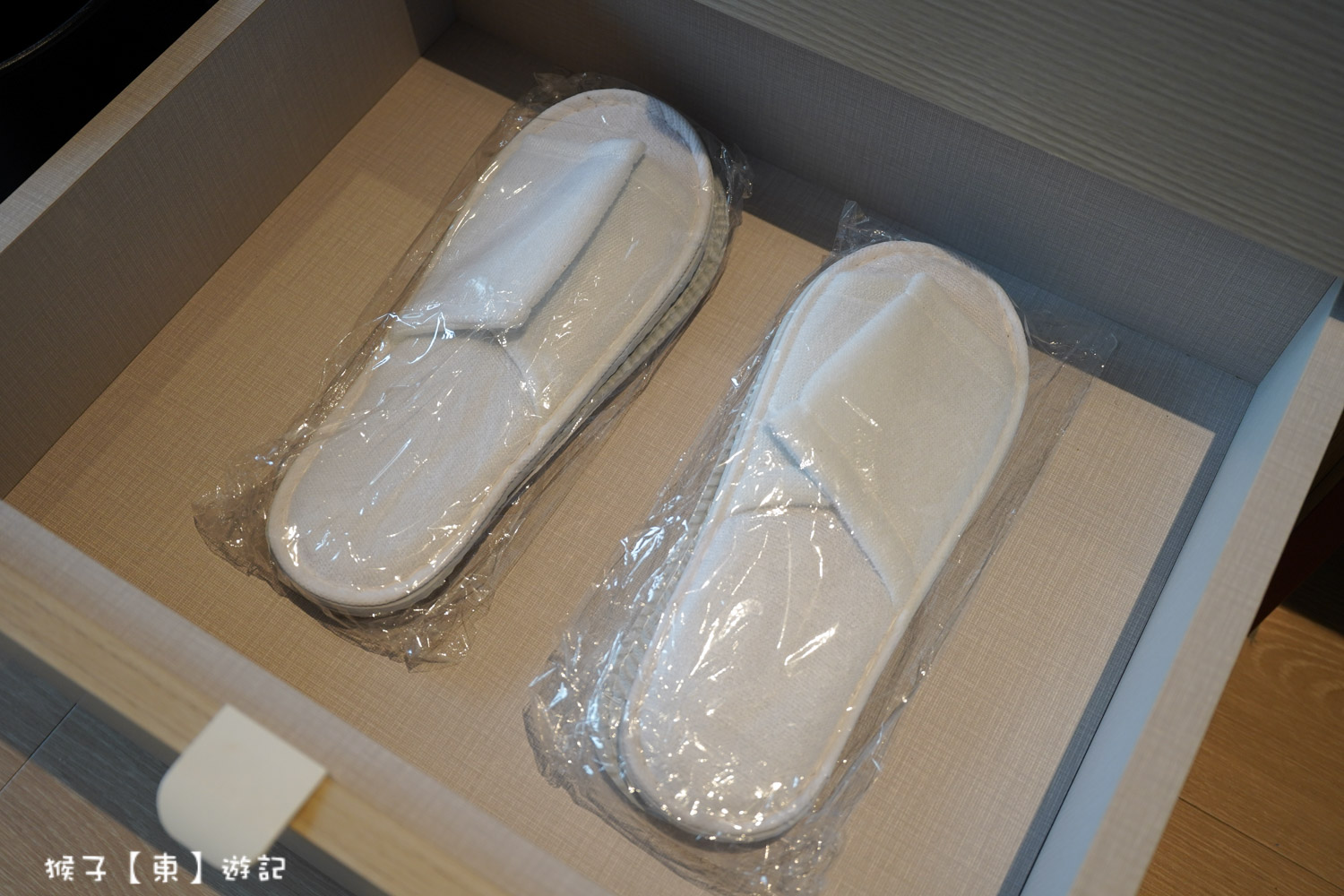  @猴子【東】遊記