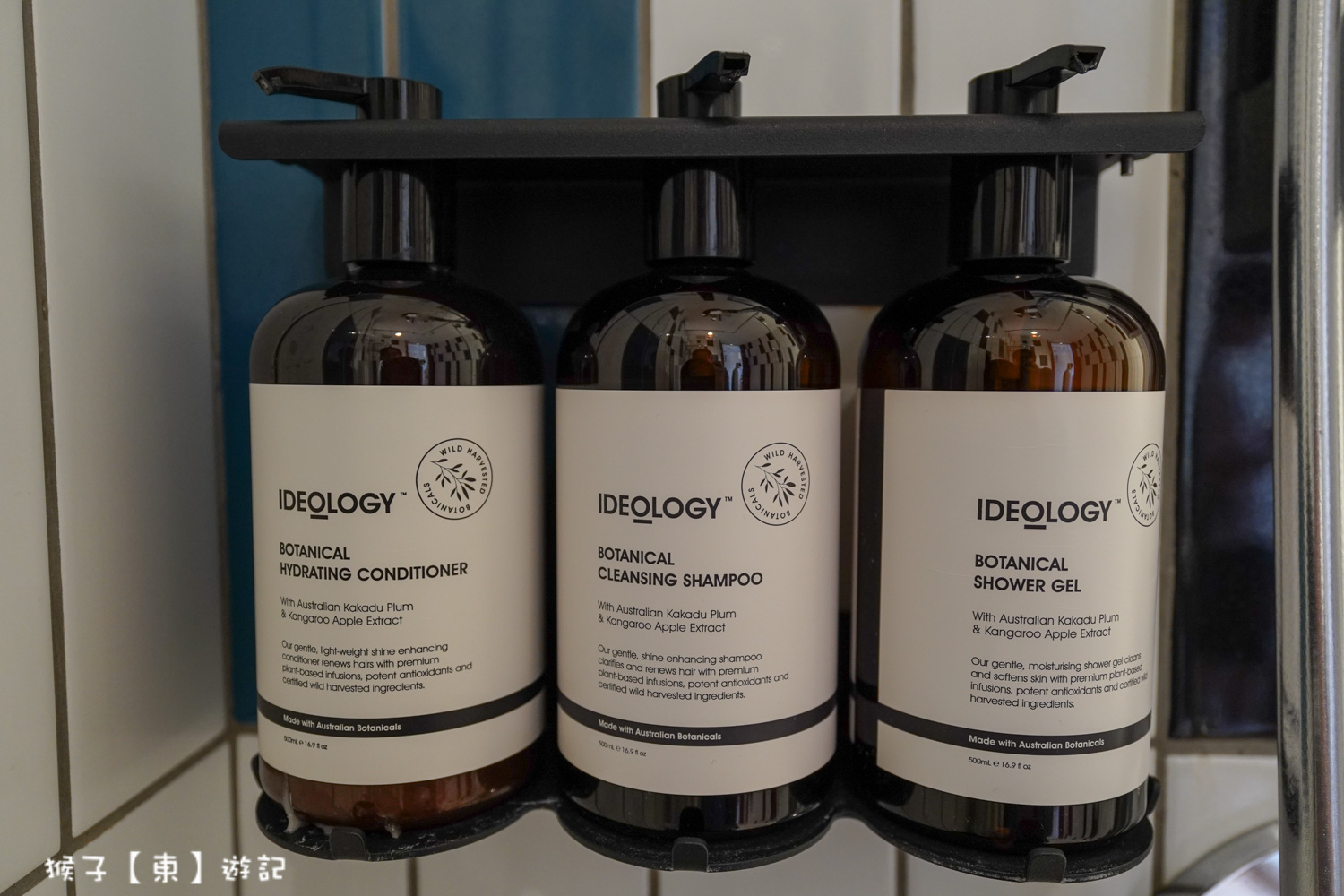  @猴子【東】遊記