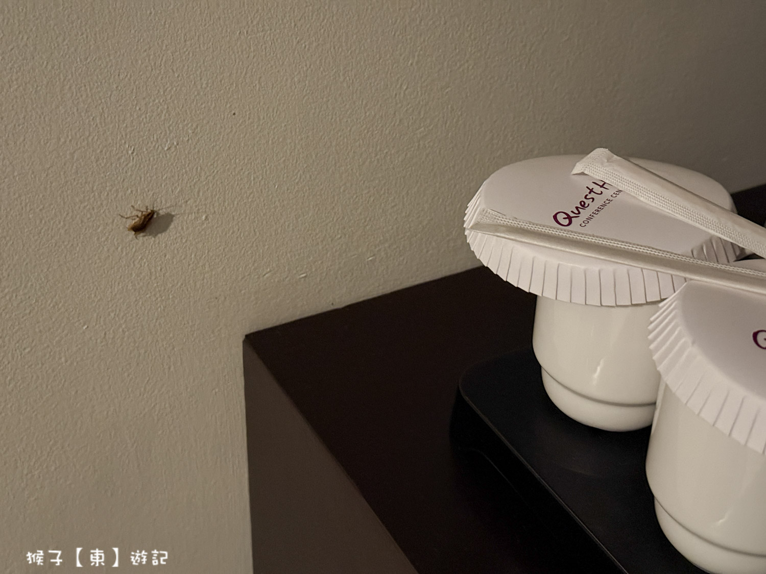  @猴子【東】遊記