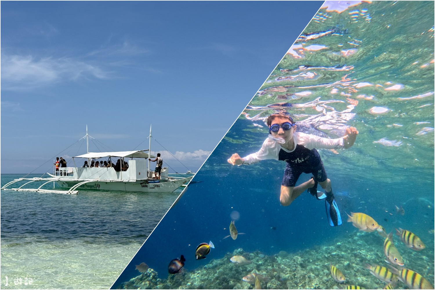 網站近期文章：[薄荷島] 2026 Balicasag巴里卡薩島 大處女島 小處女島 薄荷島跳島 浮潛 包船一日遊費用 玩法