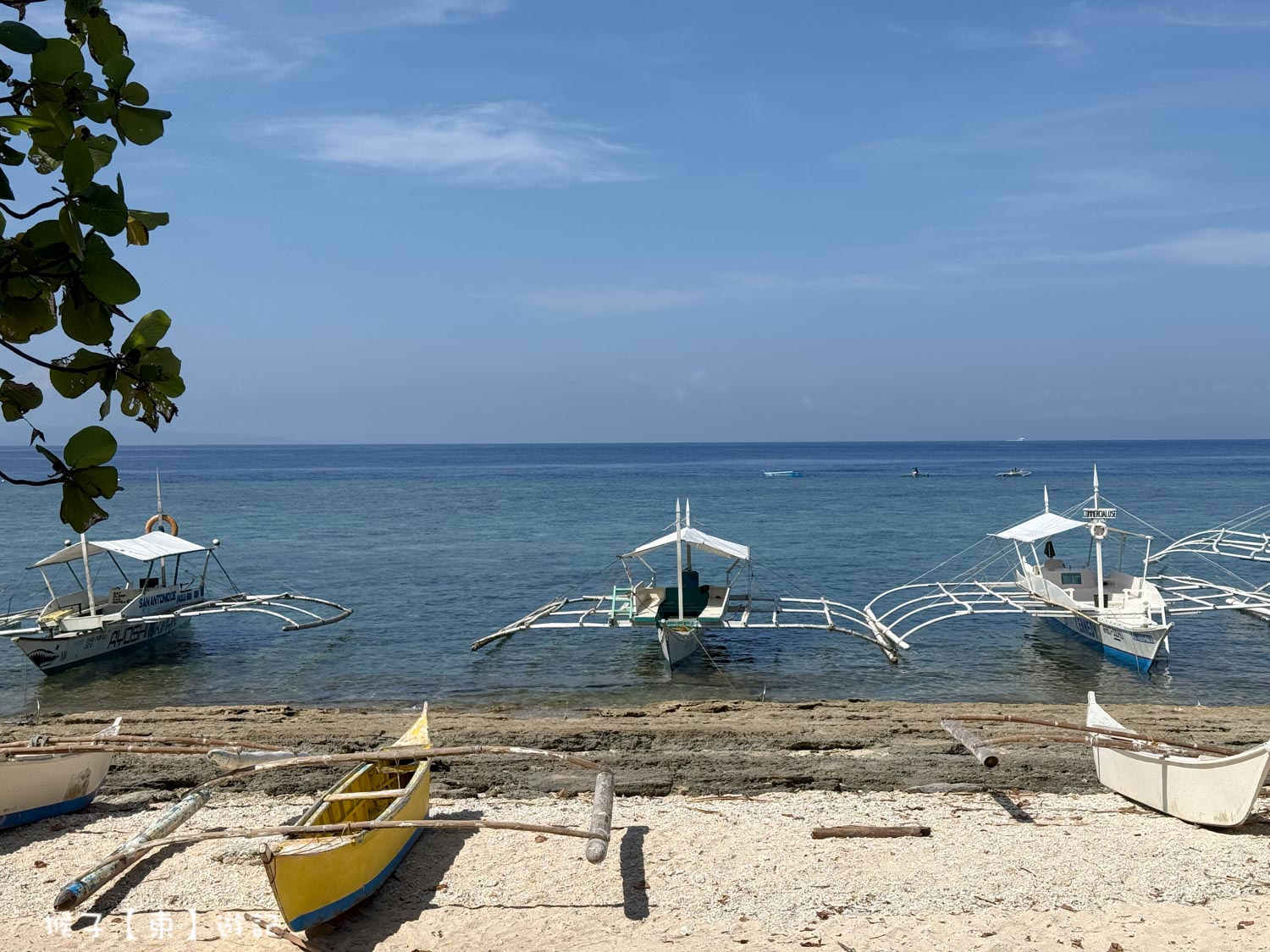  @猴子【東】遊記