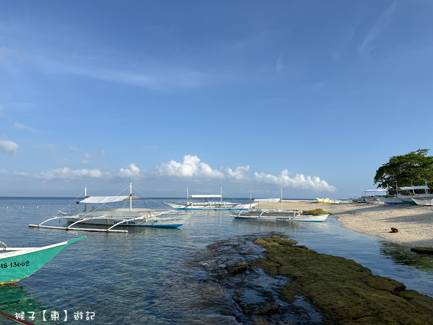  @猴子【東】遊記