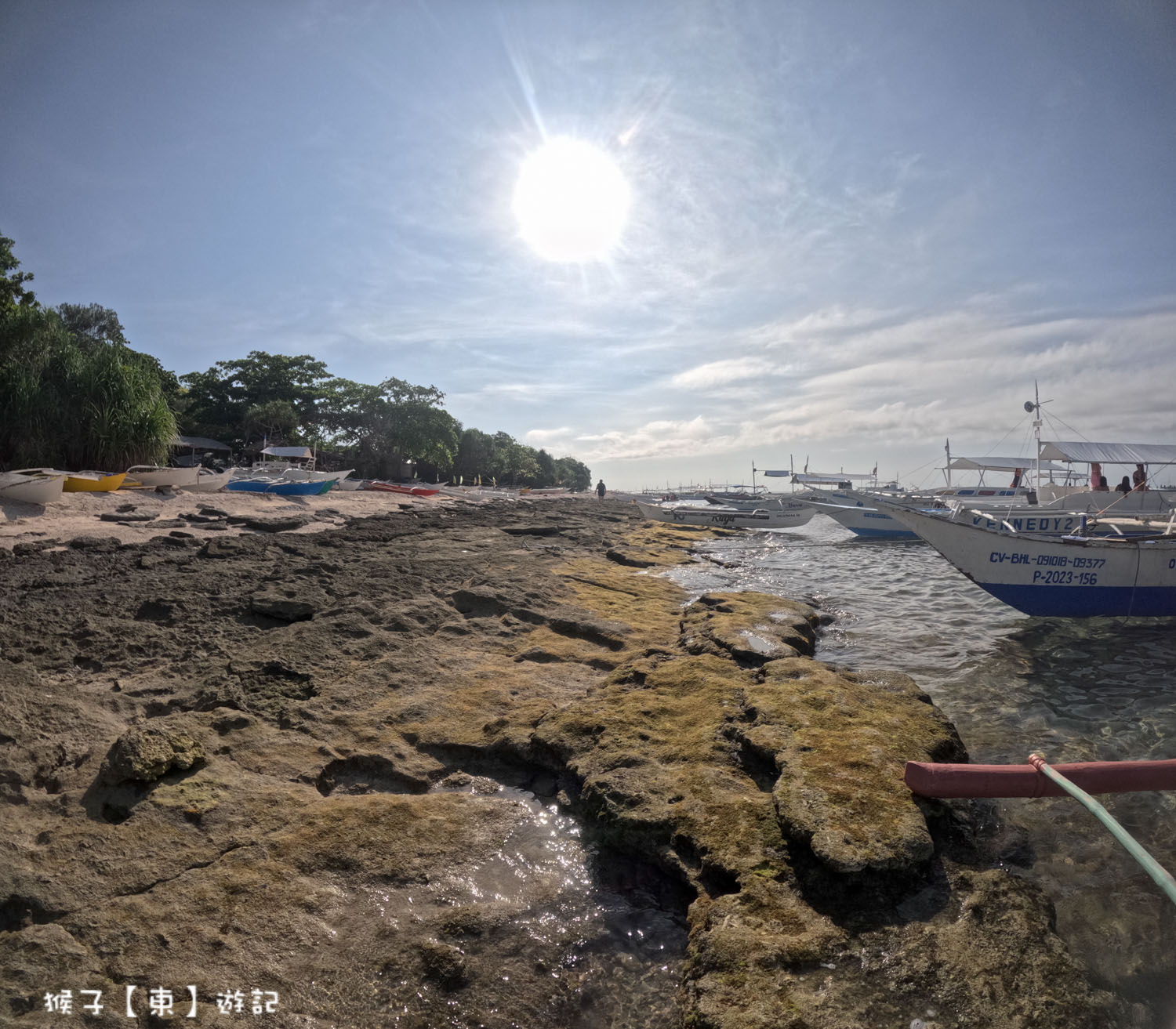  @猴子【東】遊記