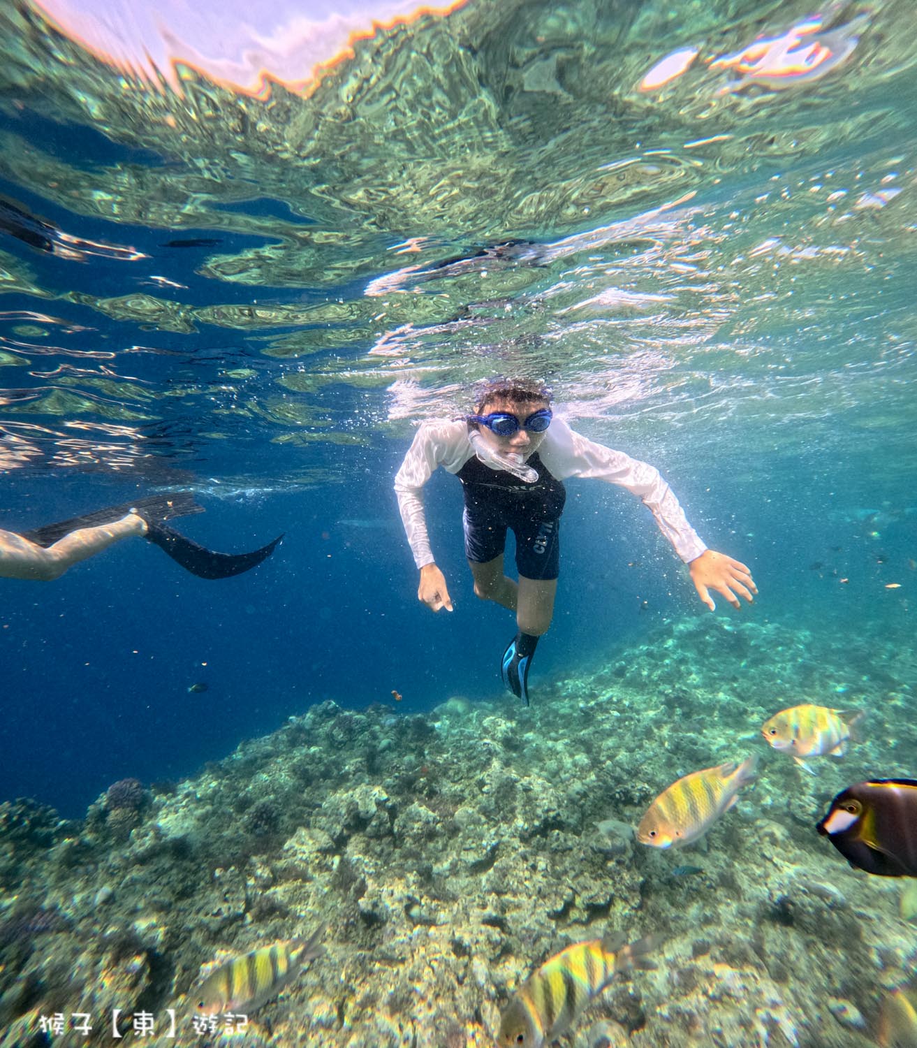  @猴子【東】遊記