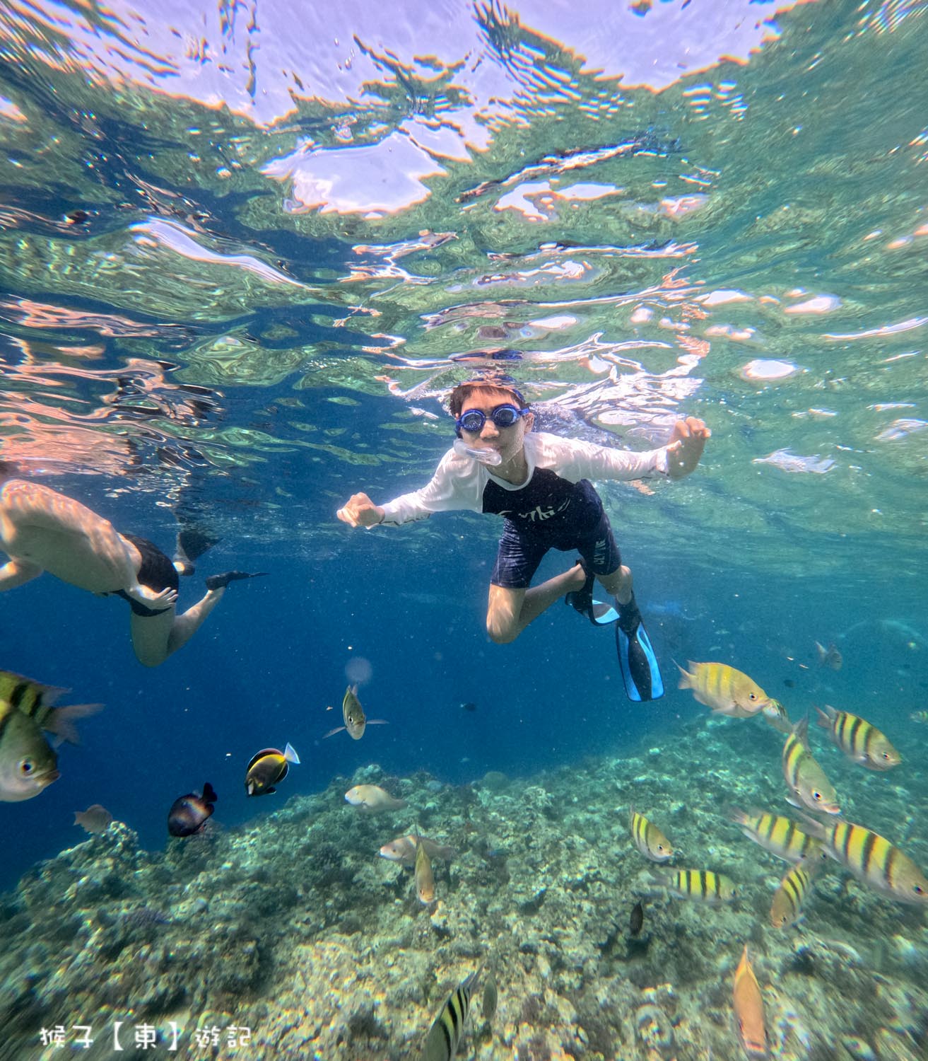  @猴子【東】遊記