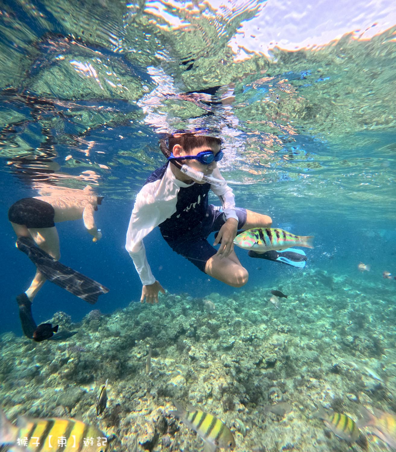 菲律賓薄荷島 巴里卡薩島浮潛
