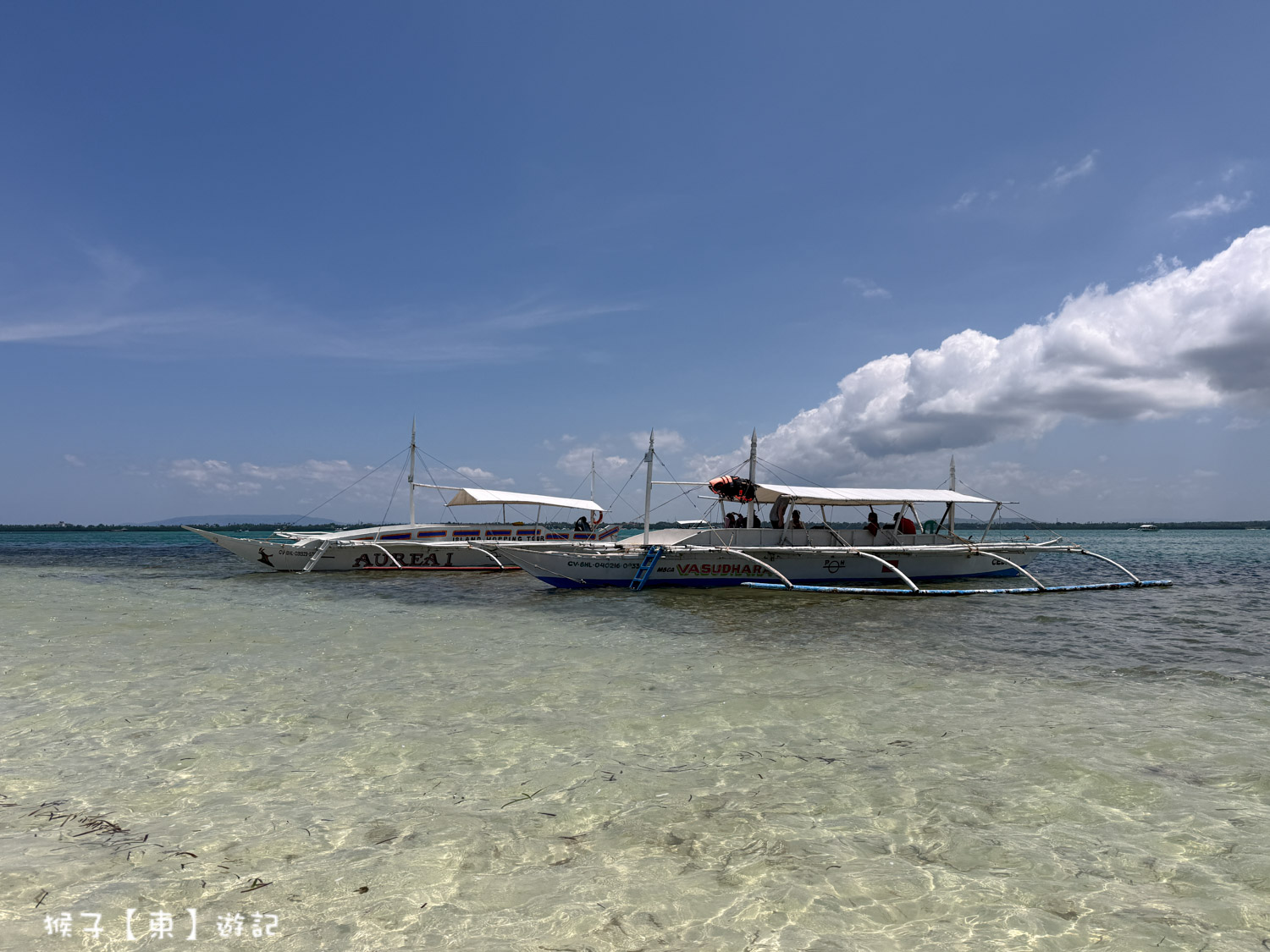  @猴子【東】遊記