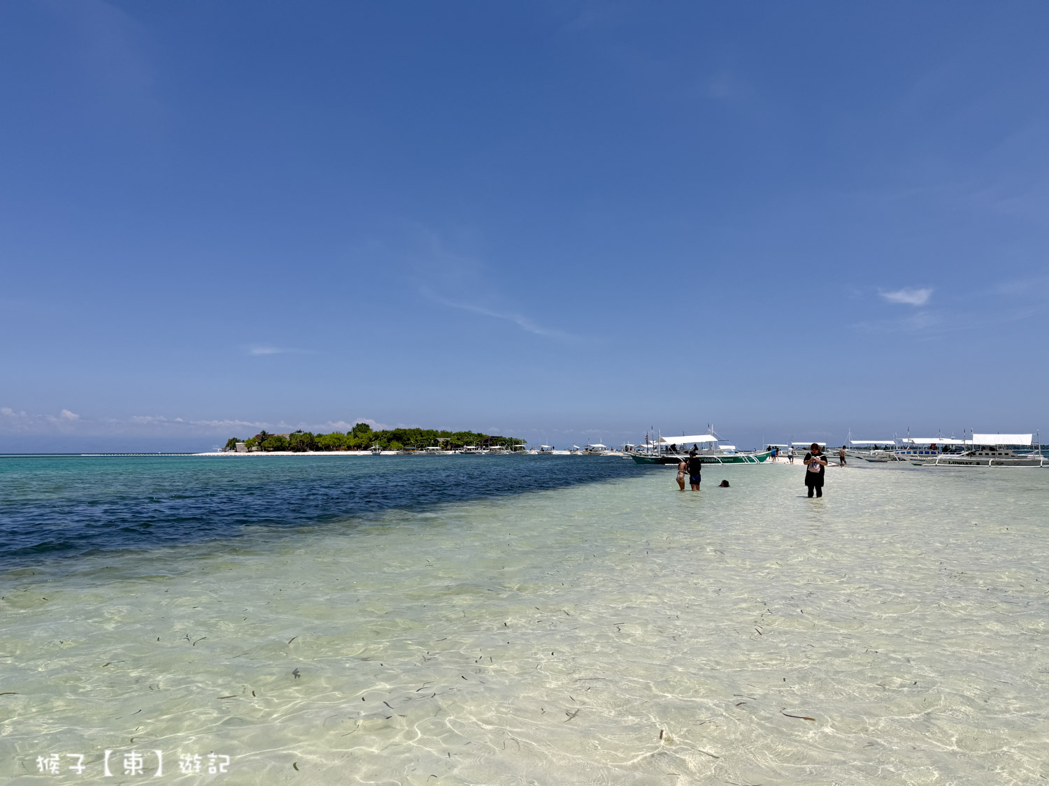  @猴子【東】遊記