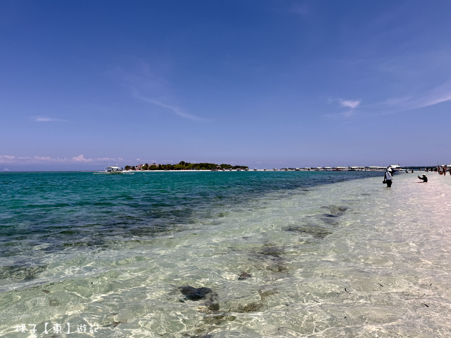  @猴子【東】遊記