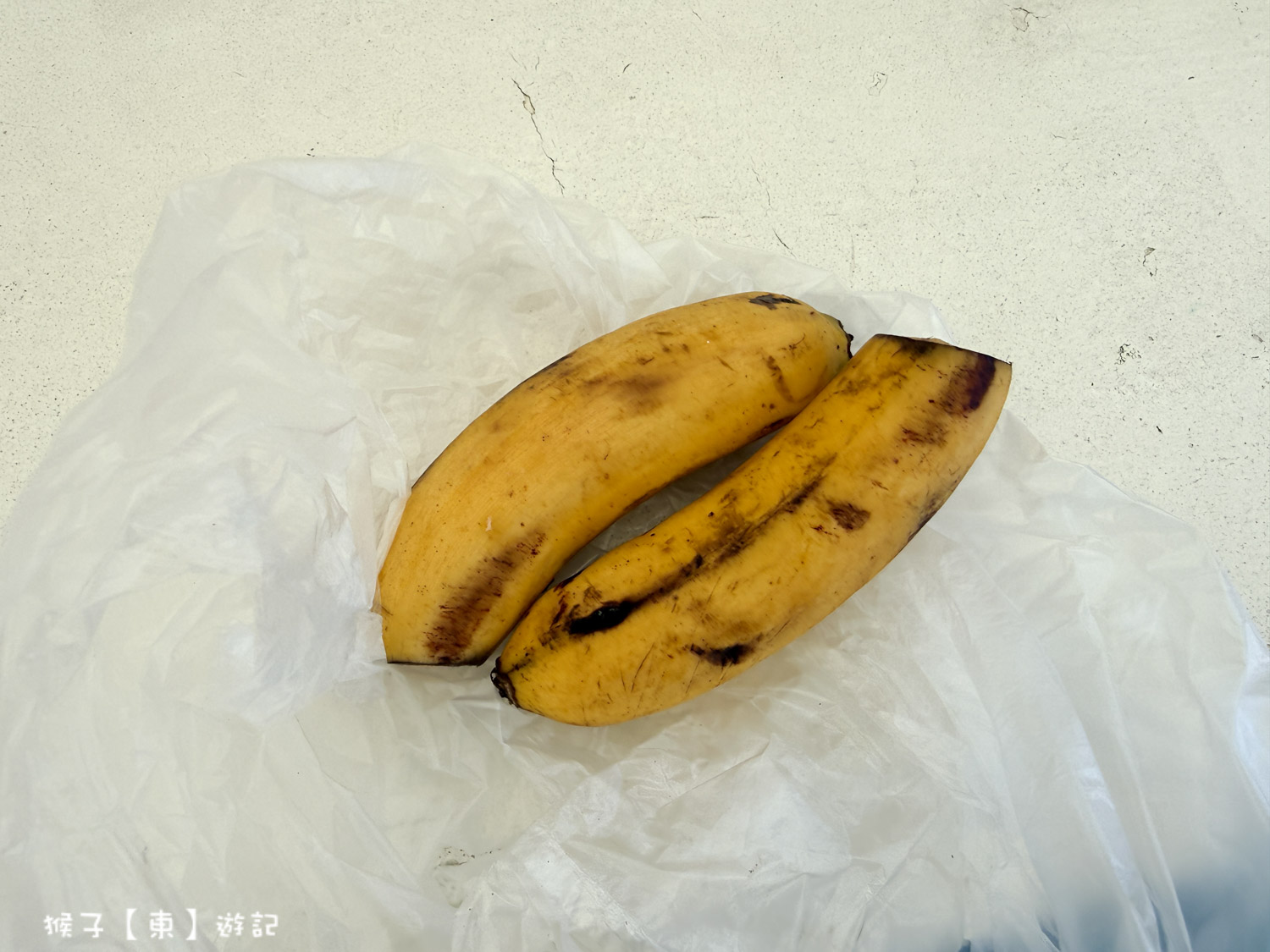  @猴子【東】遊記