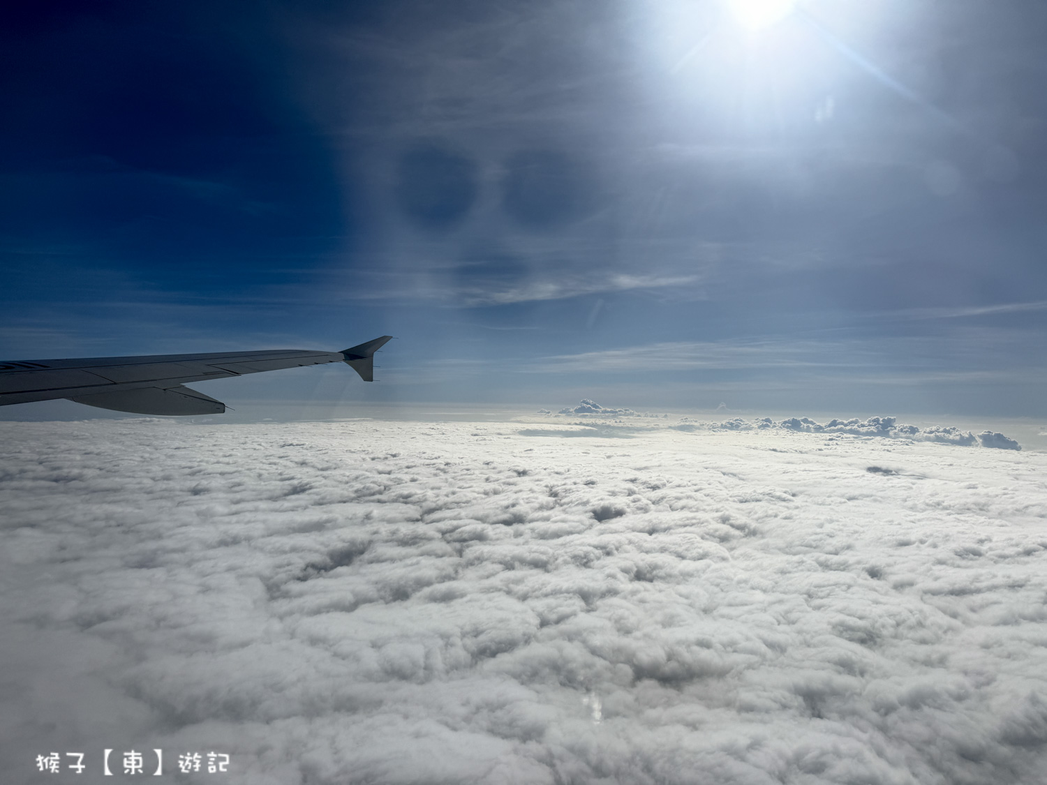 菲律賓航空 馬尼拉轉機往返薄荷島邦勞國際機場 轉機流程攻略 免費接駥車好便利 @猴子【東】遊記 @猴子【東】遊記