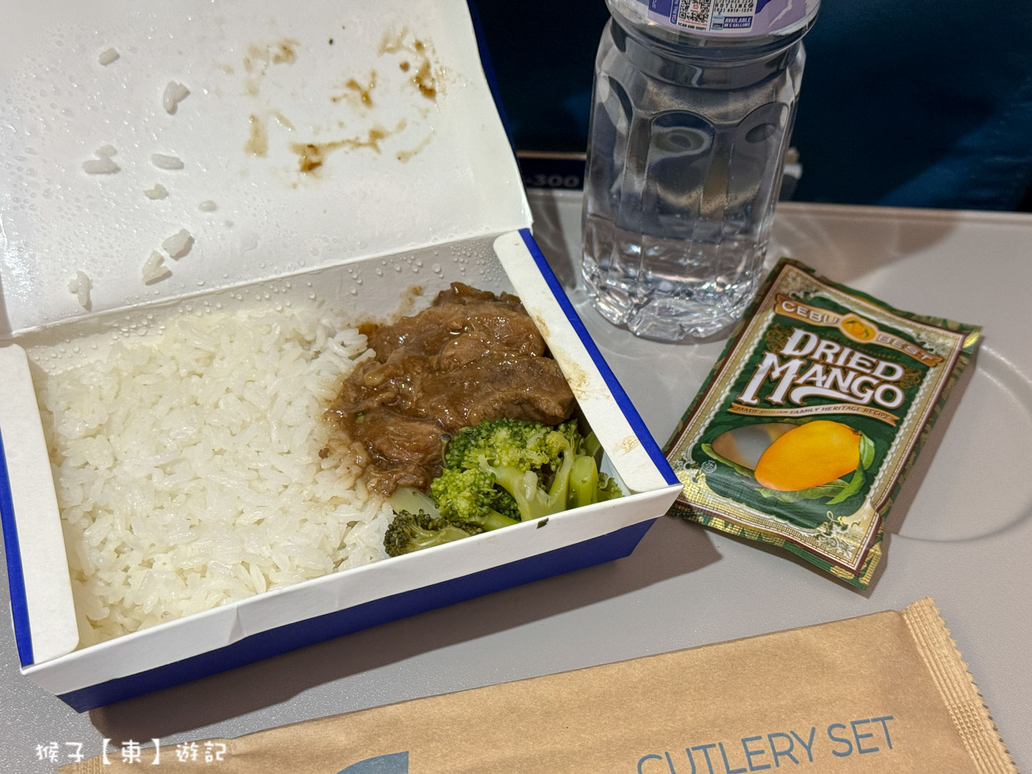 菲律賓航空 馬尼拉轉機往返薄荷島邦勞國際機場 轉機流程攻略 免費接駥車好便利 @猴子【東】遊記 @猴子【東】遊記