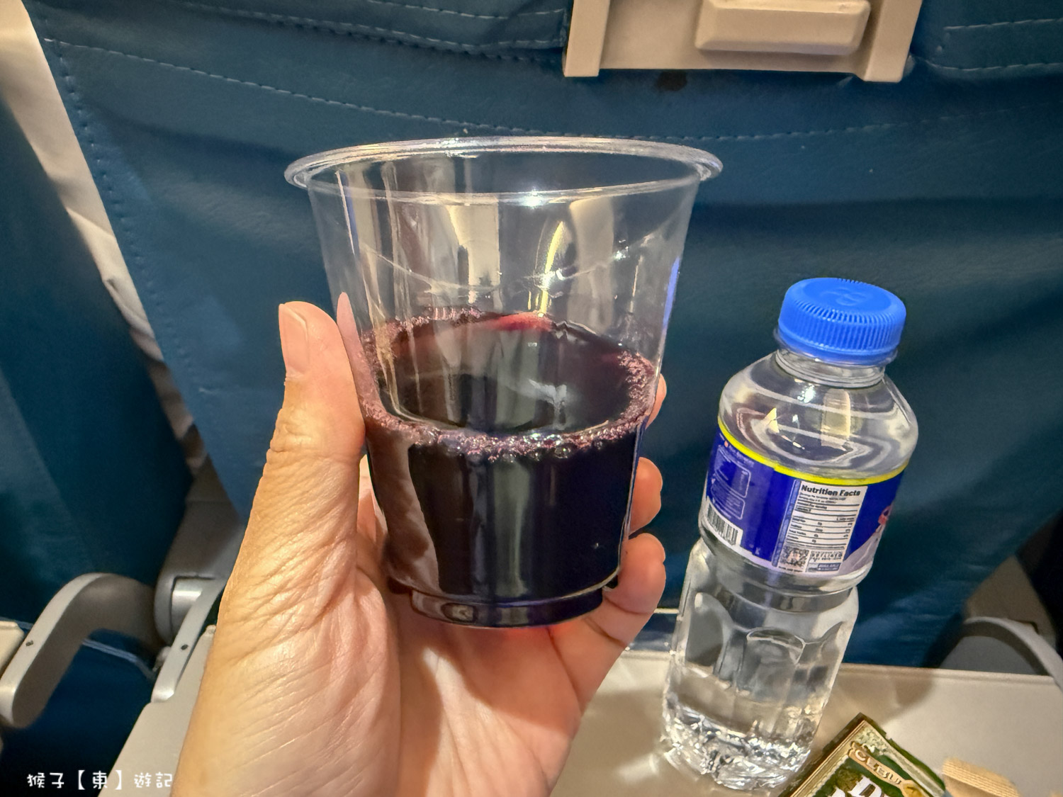 菲律賓航空 馬尼拉轉機往返薄荷島邦勞國際機場 轉機流程攻略 免費接駥車好便利 @猴子【東】遊記 @猴子【東】遊記