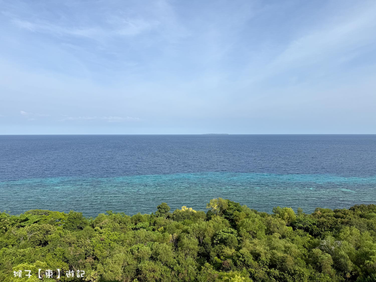  @猴子【東】遊記