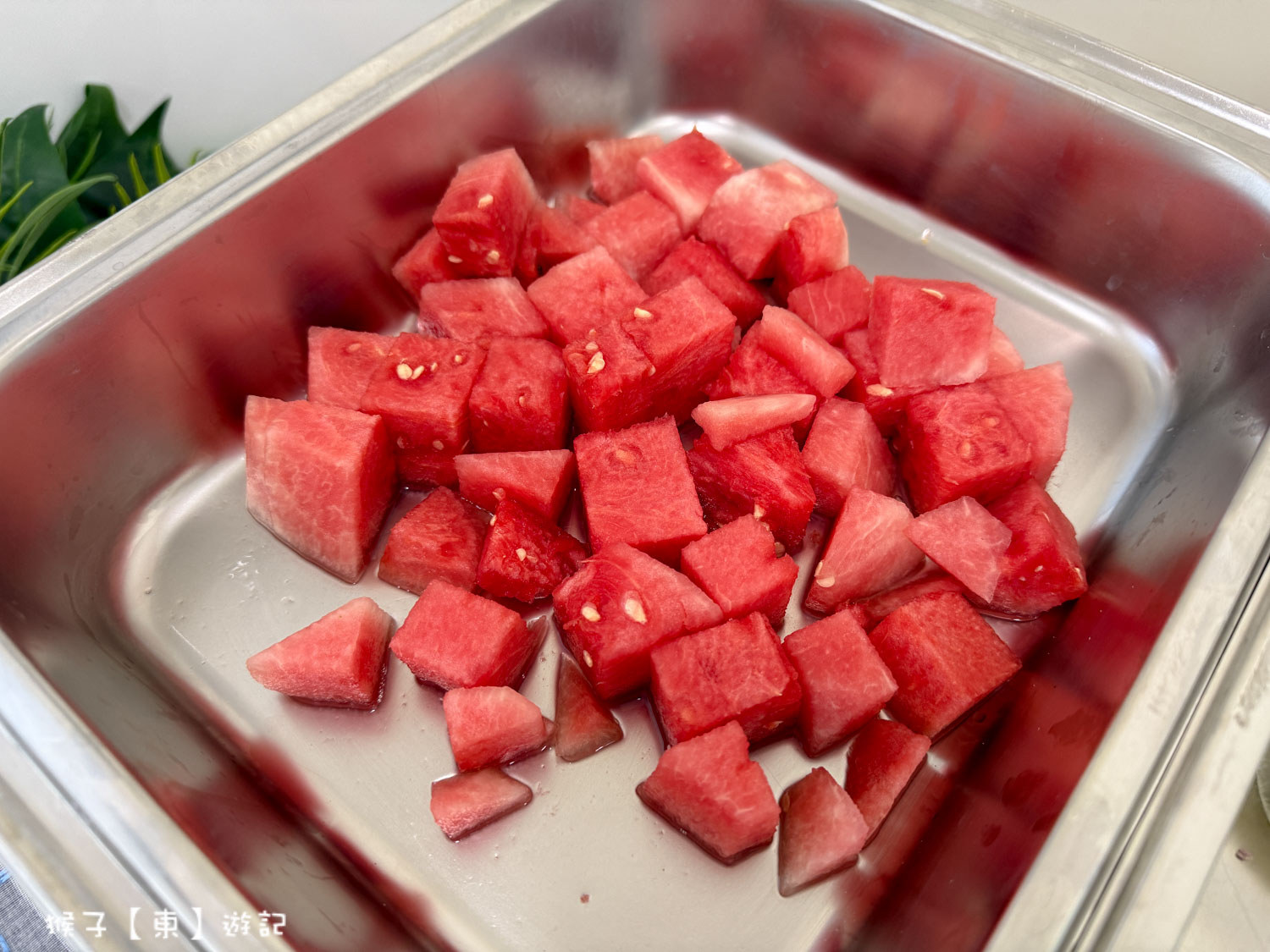  @猴子【東】遊記